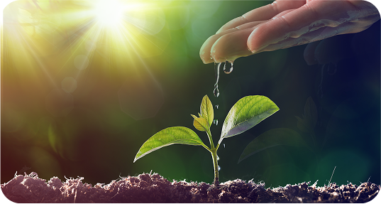 Cultivate illustration