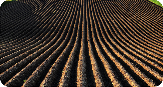 Prepare illustration