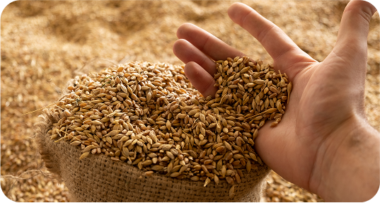 Preserve illustration